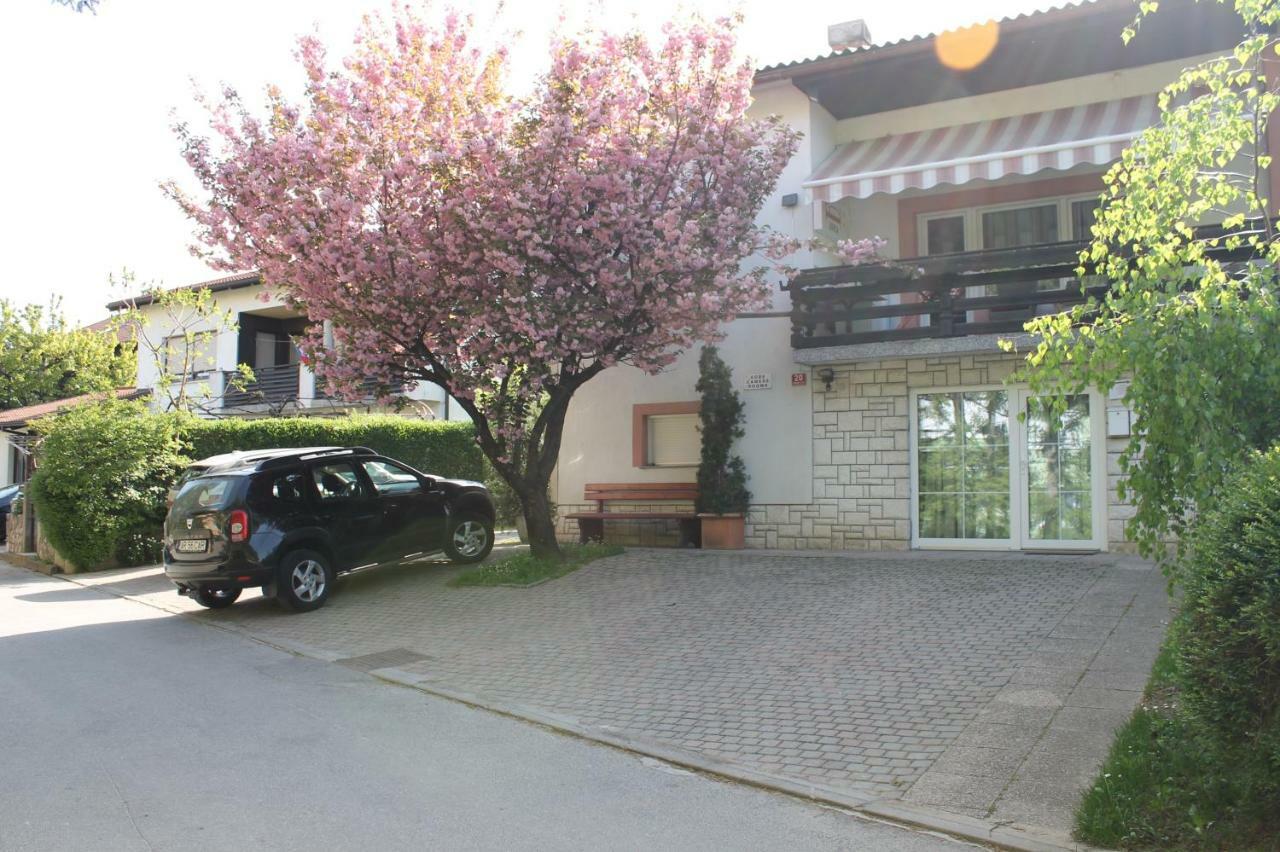 Jurca Postojna